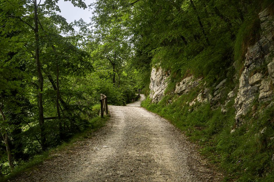 What Nobody Tells You About A Balanced Approach To Wellness, in Plain Language