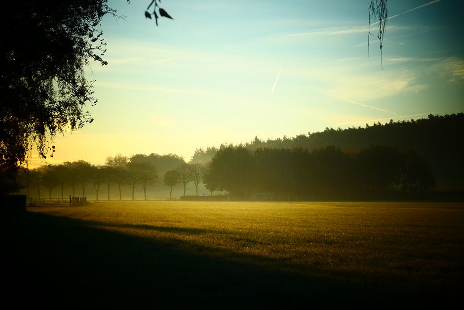 A Gentler Way to Approach Habits: How They Actually Form, Without Overthinking It