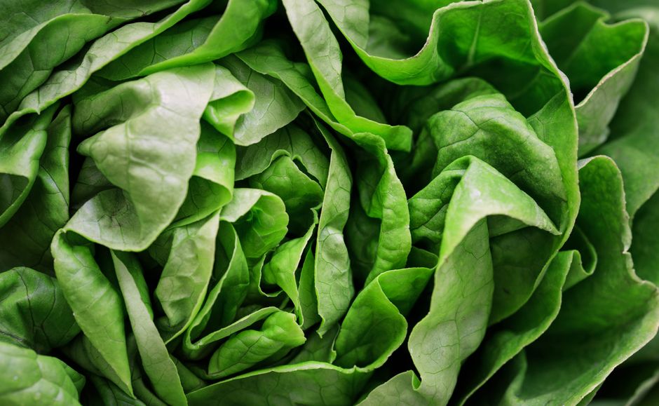 A Practical Take on When A Supplement Is Not The Answer, Step by Step