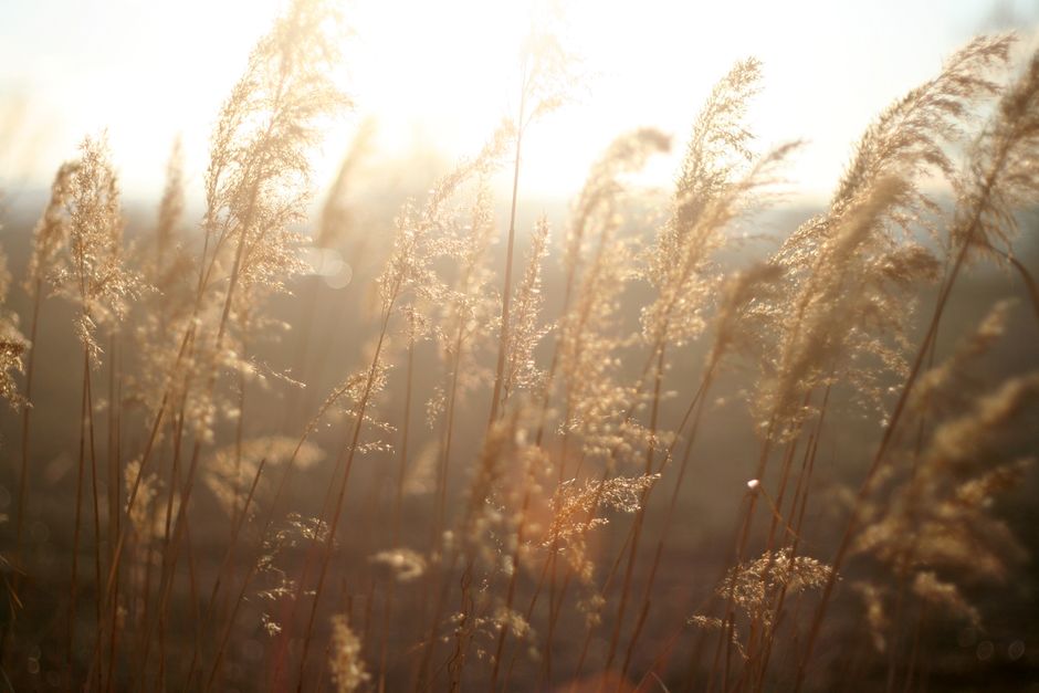 A Slower Approach to Tracking, Measuring And When To Stop, Minus the Overwhelm