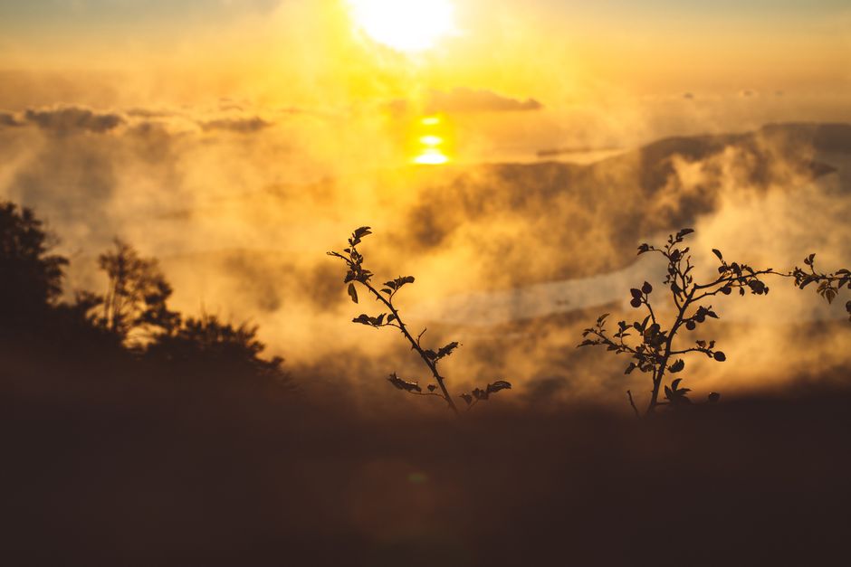 A Step-by-Step Look at Starting Over Without Starting From Scratch, on a Normal Week