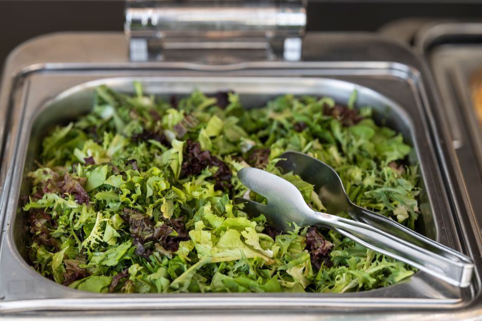 Appetite, Hunger And Cravings Without the Guesswork, the Honest Way