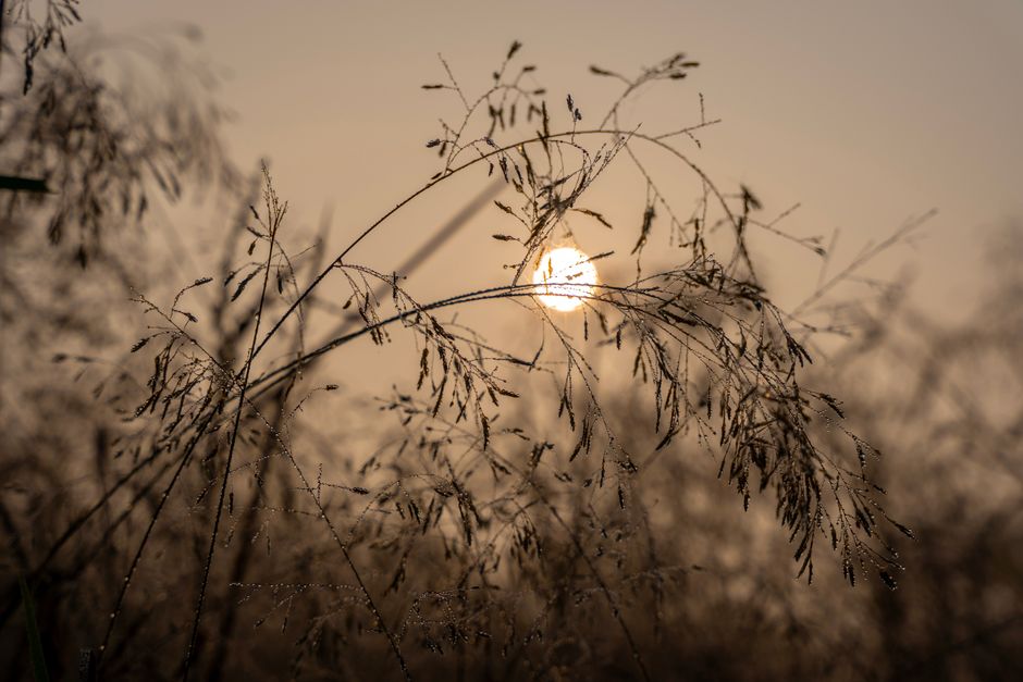 How to Build a Baseline Health Routine for Busy Seasons