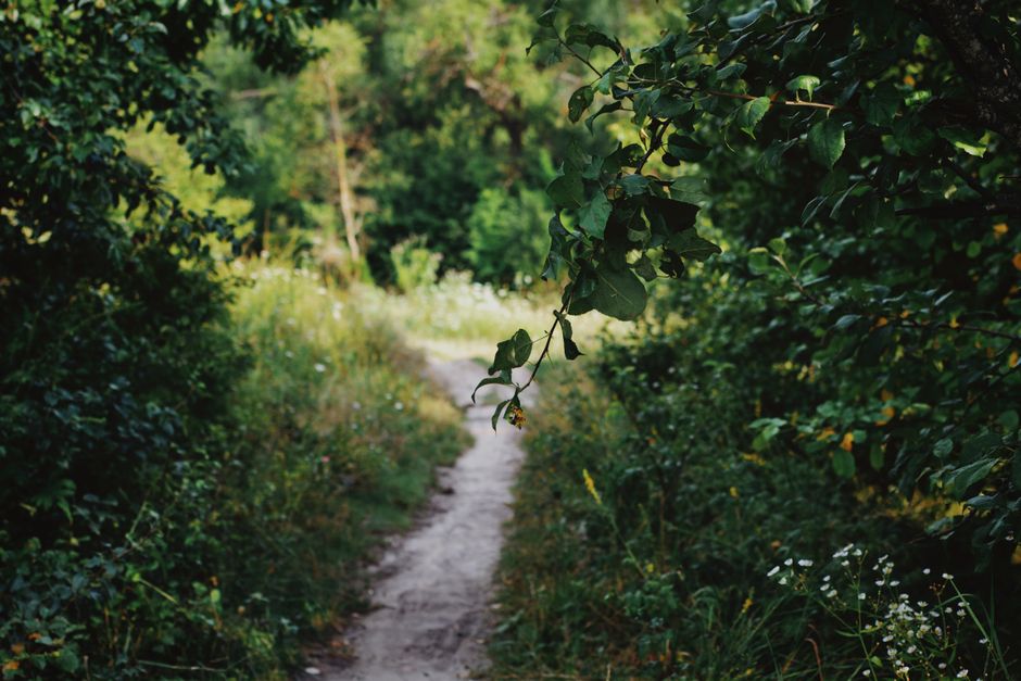 Building a Daily Routine Around Flexibility, Mobility And Stiffness, the Honest Way