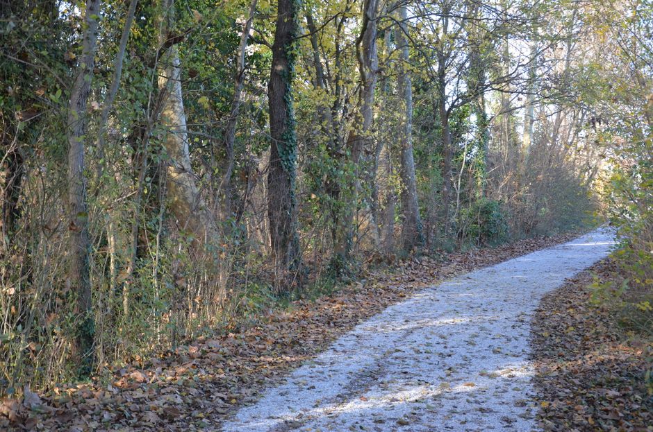 Building a Daily Routine Around The Habit Of Moving Through The Day