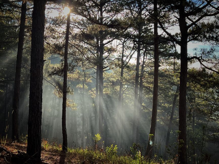 Everyday Habits Built Around Health Over A Lifetime, Not A Season, Day by Day