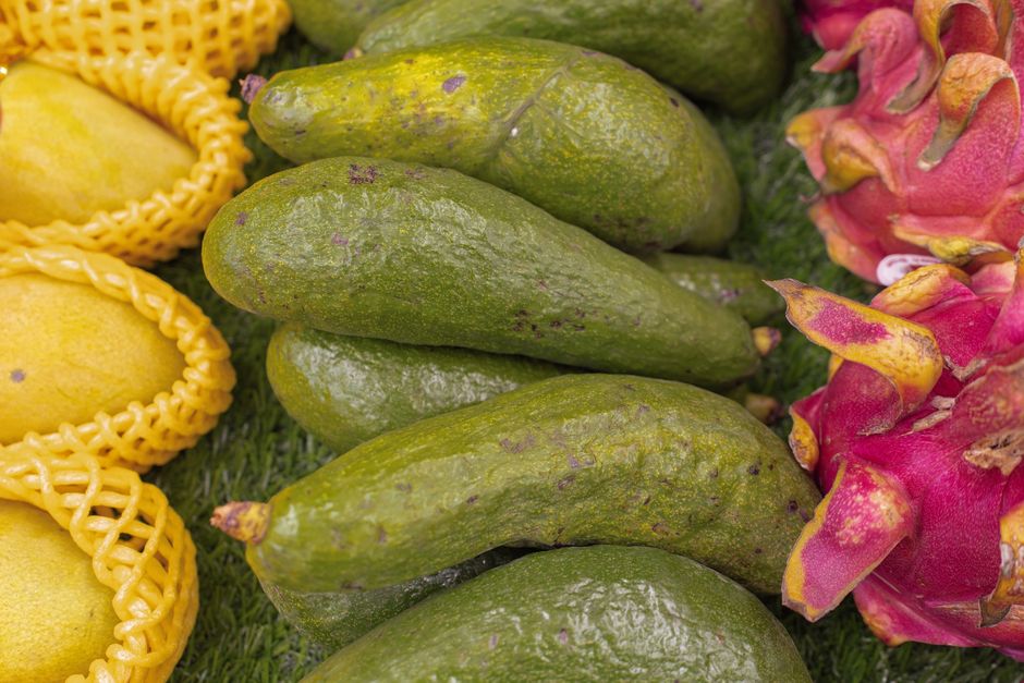 The Quiet Value of Everyday Wellness Tips, Made Simple