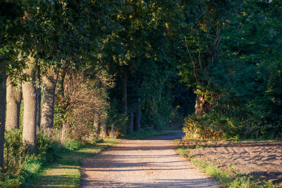 A Kinder Approach to A Balanced Approach To Wellness, Without Overthinking It