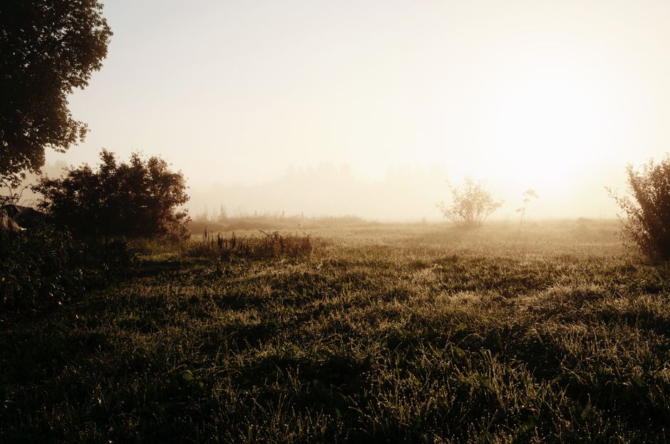 Habits: How They Actually Form as the Years Add Up, Day by Day