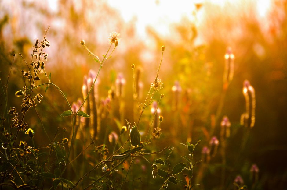 Habits: How They Actually Form When You're Short on Time, Minus the Overwhelm