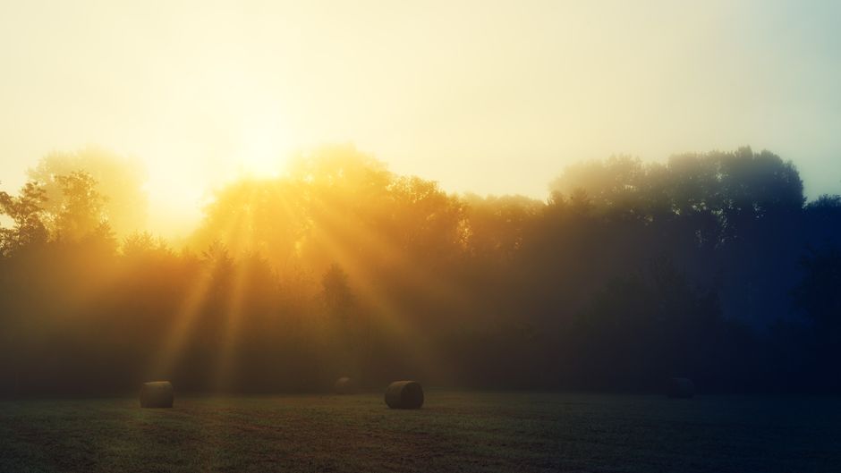 Health Over A Lifetime, Not A Season: Myths and Facts