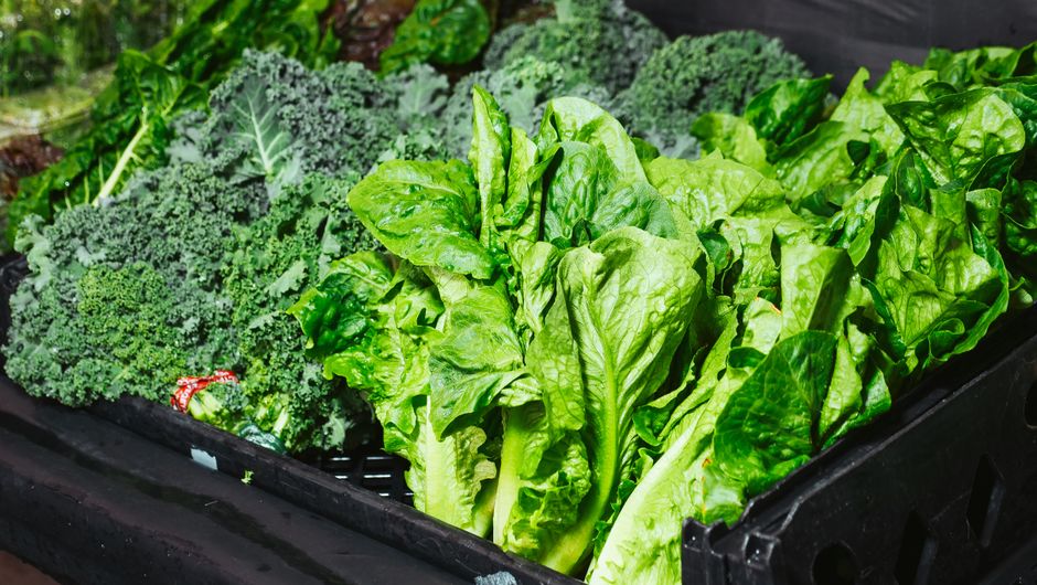 Living Well With Sustainable Weight Change Versus Crash Diets in Mind, Minus the Overwhelm