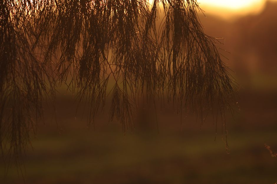 Rethinking Health Over A Lifetime, Not A Season, Starting Today