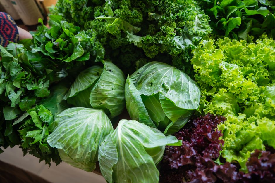 Room for Sustainable Weight Change Versus Crash Diets in a Full Day, the Honest Way