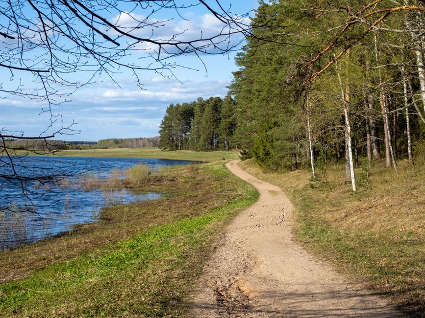 Simplicity As A Health Strategy: What Actually Works