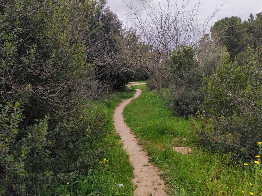 Simplicity As A Health Strategy Without the Guesswork