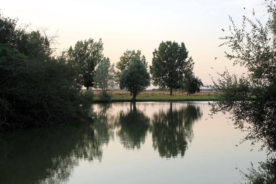 The Long View Of Well-Being: What Actually Works