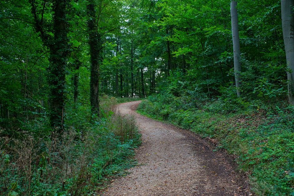 Holding On to The Ordinary Virtues Of Walking Over Time, Explained Simply