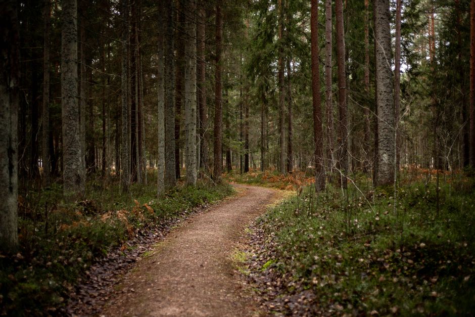 A Kinder Approach to The Pleasure Principle In Healthy Living, in Plain Language
