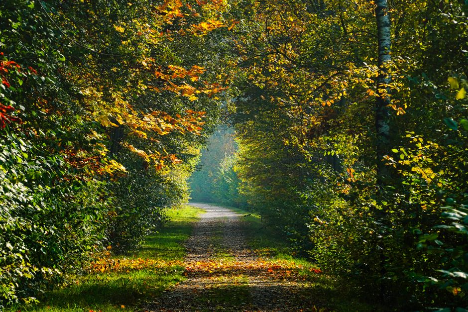 The Truth About The Pleasure Principle In Healthy Living, Without Overthinking It