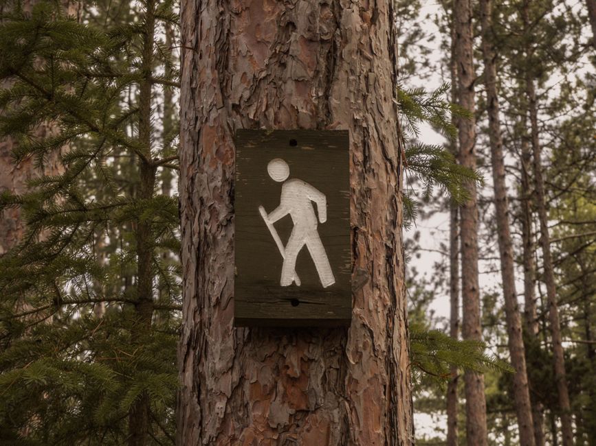 The Pleasure Principle In Healthy Living in Your 40s, 50s and Beyond