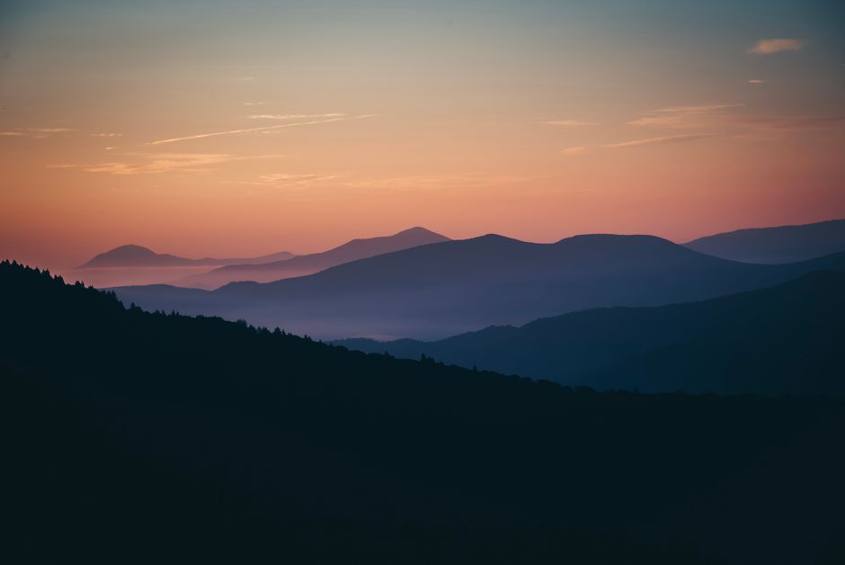The Quiet Value of Stress That Helps And Stress That Wears, Day by Day