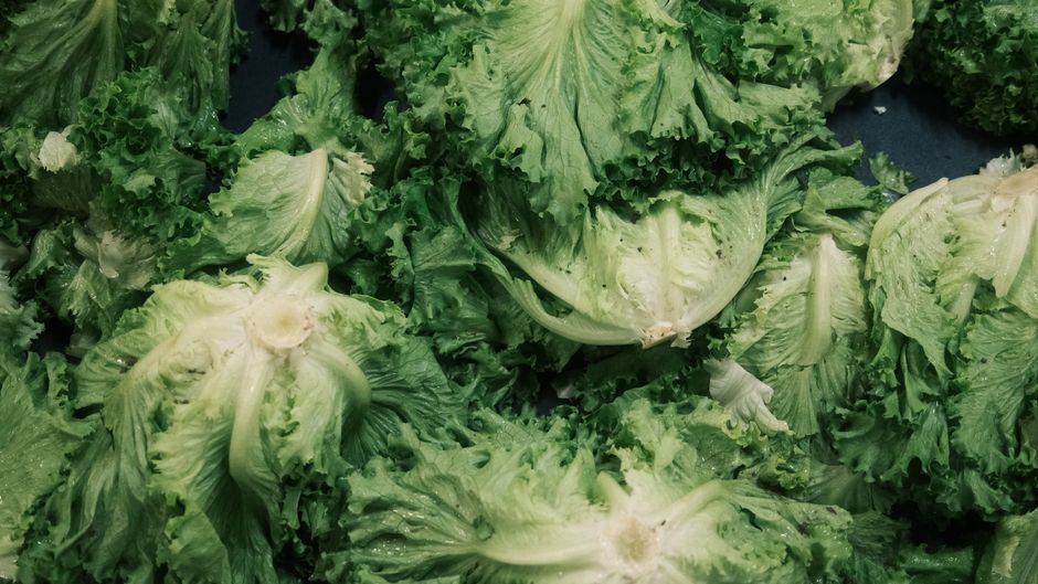 The Role Of Sleep In A Healthy Weight: The Honest Version