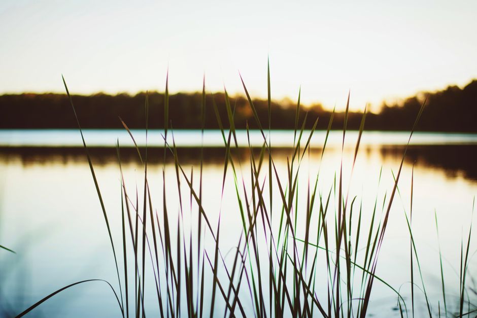 How to Stay Consistent With Creating Healthy Long-Term Habits