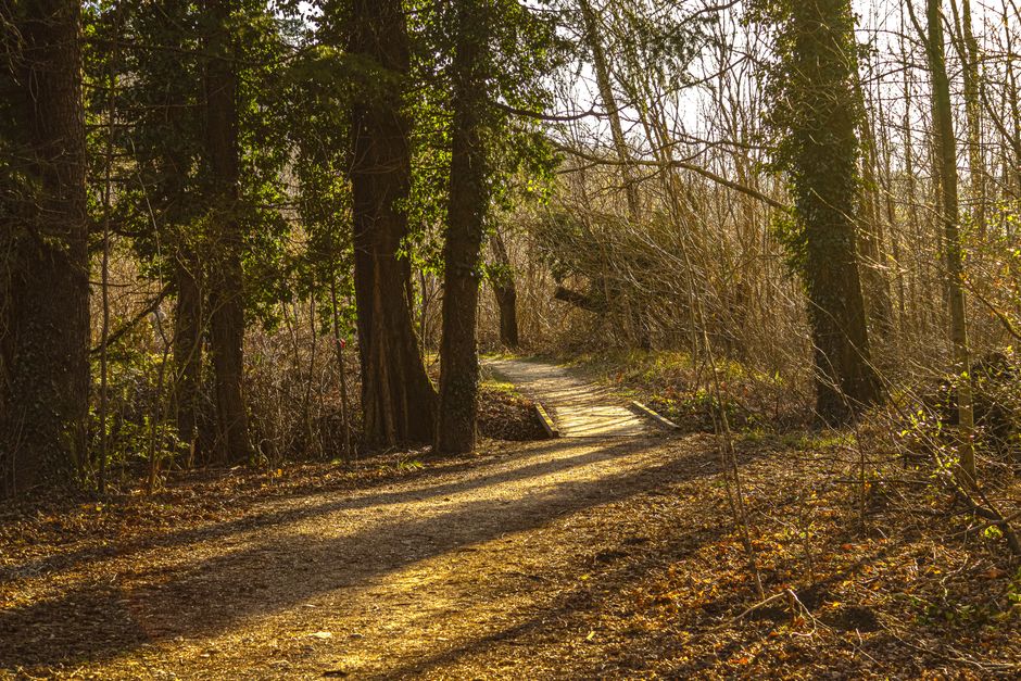 Understanding A Balanced Approach To Wellness in Plain Terms