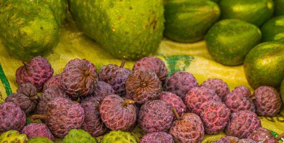 Wellness Beyond The Individual: Common Mistakes to Avoid