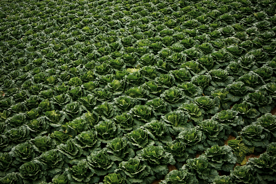When A Supplement Is Not The Answer as the Years Add Up, Made Simple