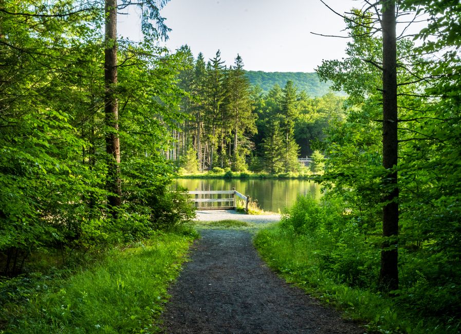 Where People Go Wrong With The Ordinary Virtues Of Walking